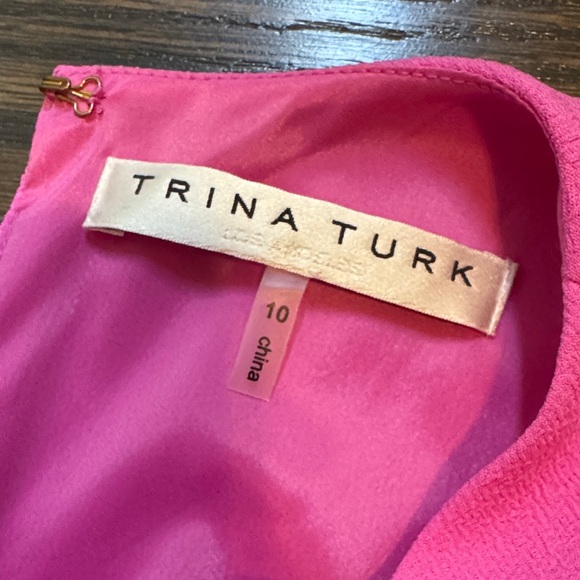 Pink Ruffle Sleeve Dress - Picture 3 of 6